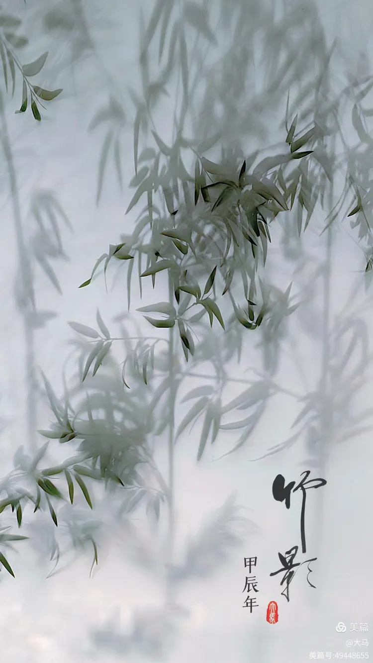 竹影 (画意摄影)